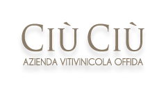 CIU CIU logo