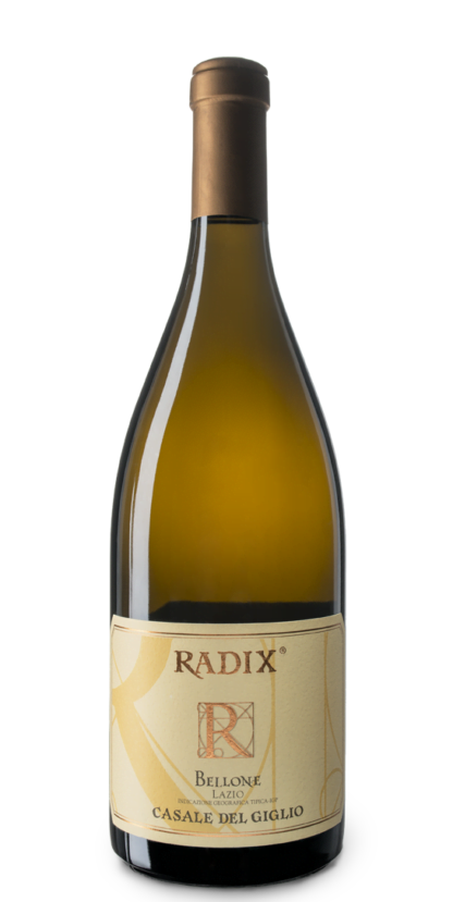 Wino wytrawne białe Radix Bellone Lazio Bianco IGT