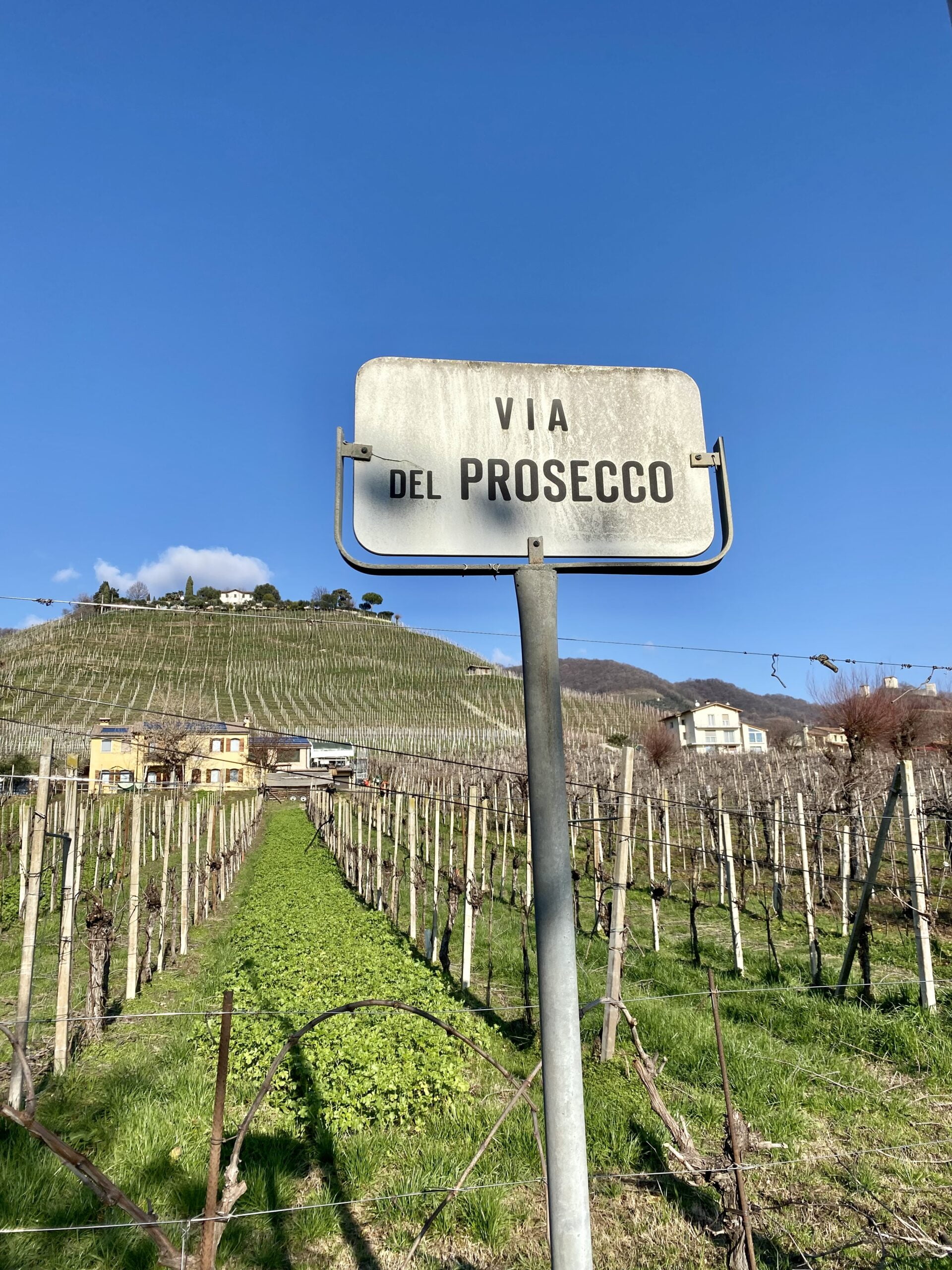 Le Rive Prosecco Superiore – Włoskie Wino Z Klasą!