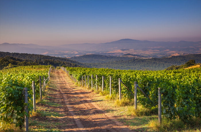 Regiony winiarskie we Włoszech - Chianti w Toskanii