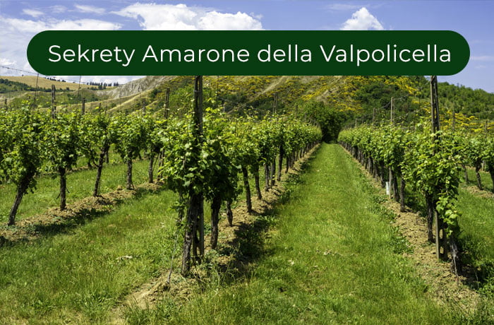 Urokliwe wzgórza Regionu Veneto