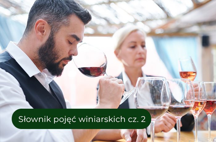 Słownik pojęć winiarskich część druga