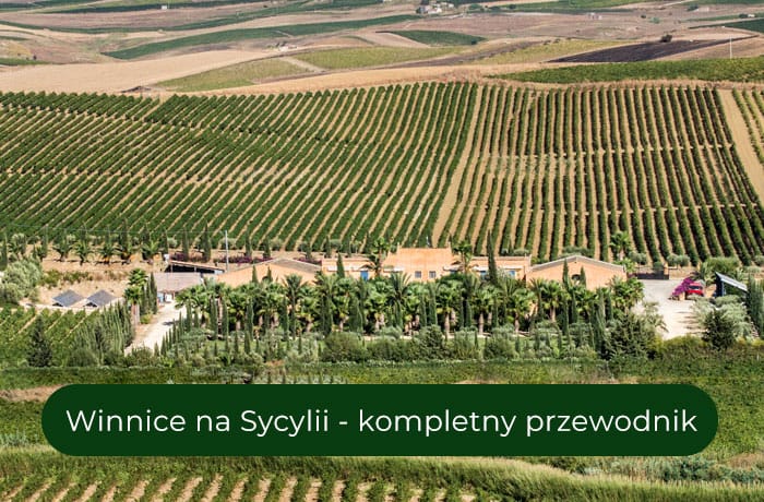 Winnice na Sycylii – przewodnik po krainie wina, słońca i tradycji
