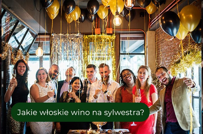 Jakie wino na sylwestra - zdjęcie grupowe na imprezie