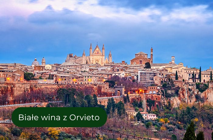 Widok na miasto Orvieto