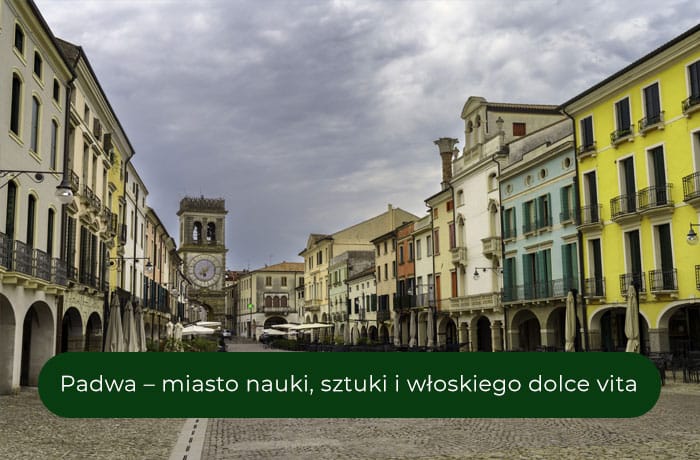 Padwa - piękne włoskie miasto - rynek