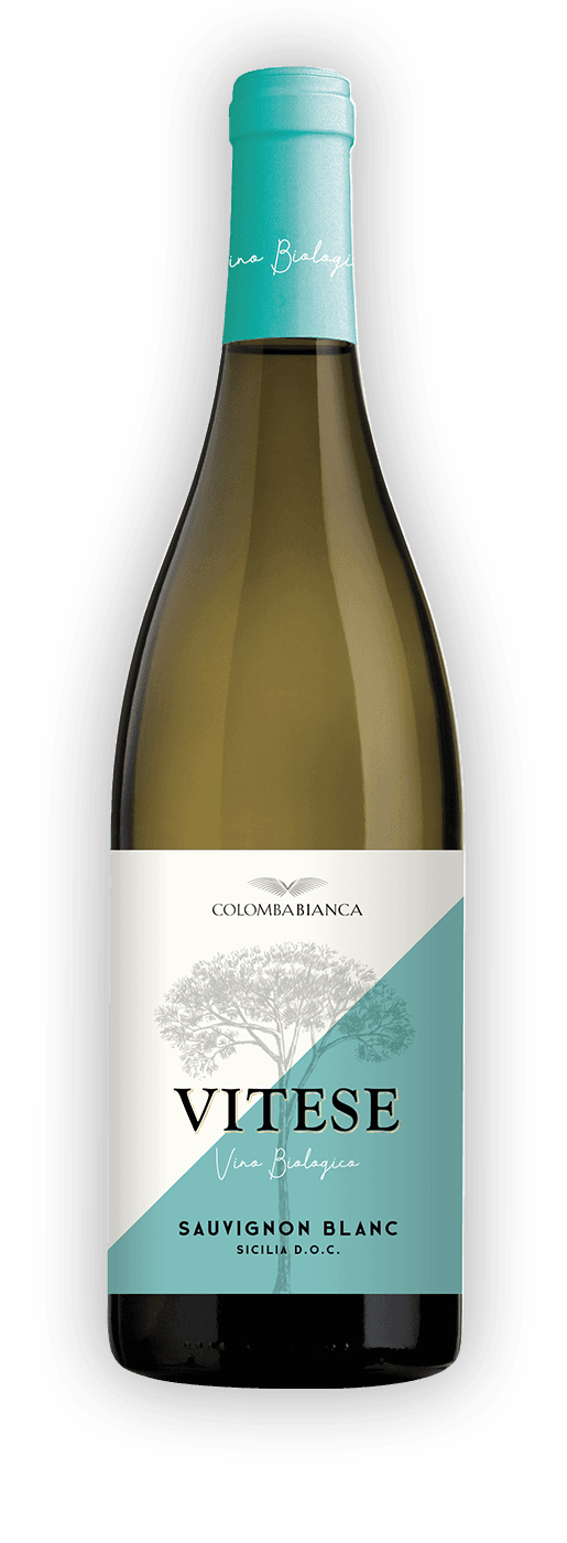 sauvignon_vitese_ombra_2023 Vitese Butelka wina białego Sauvignon Blanc