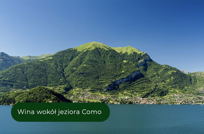 Wina znad jeziora como - winnnice