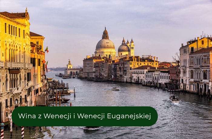 Wina z Wenecji i Wenecji Euganejskiej