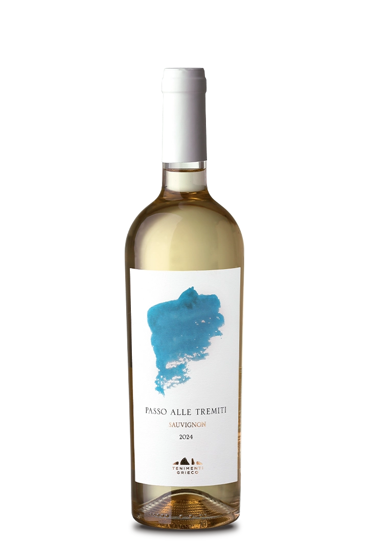 passosauvignon2024