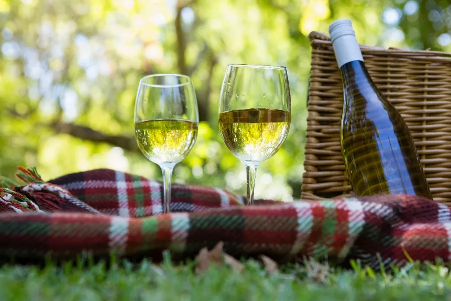 Jak pić wino w plenerze